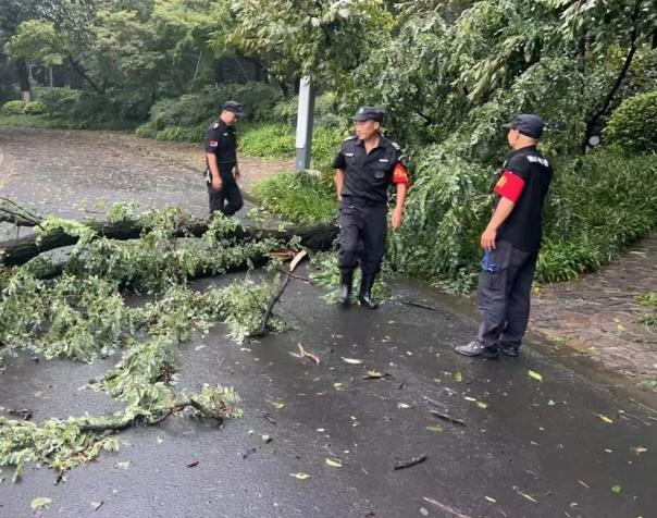 C:/Users/BA/Desktop/風(fēng)雨過(guò)后南京保安迅速行動(dòng)，恢復(fù)安“寧”面貌/7.jpg7